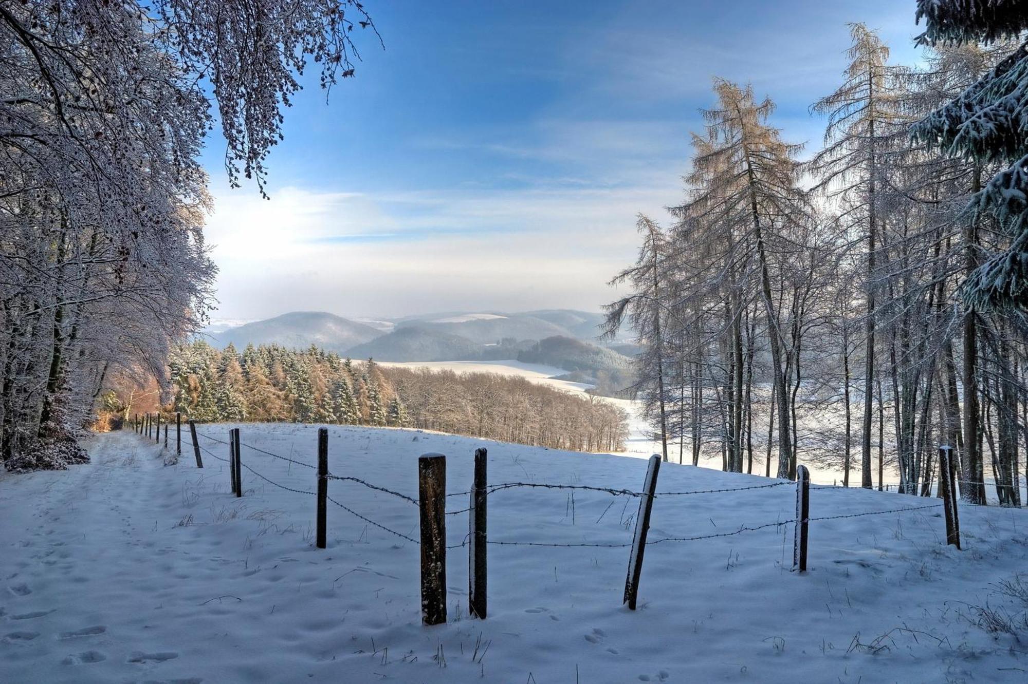 Diemelsee Sudeck - Ein Ferienhaeuschen Zum Wohlfuehlen Екстериор снимка