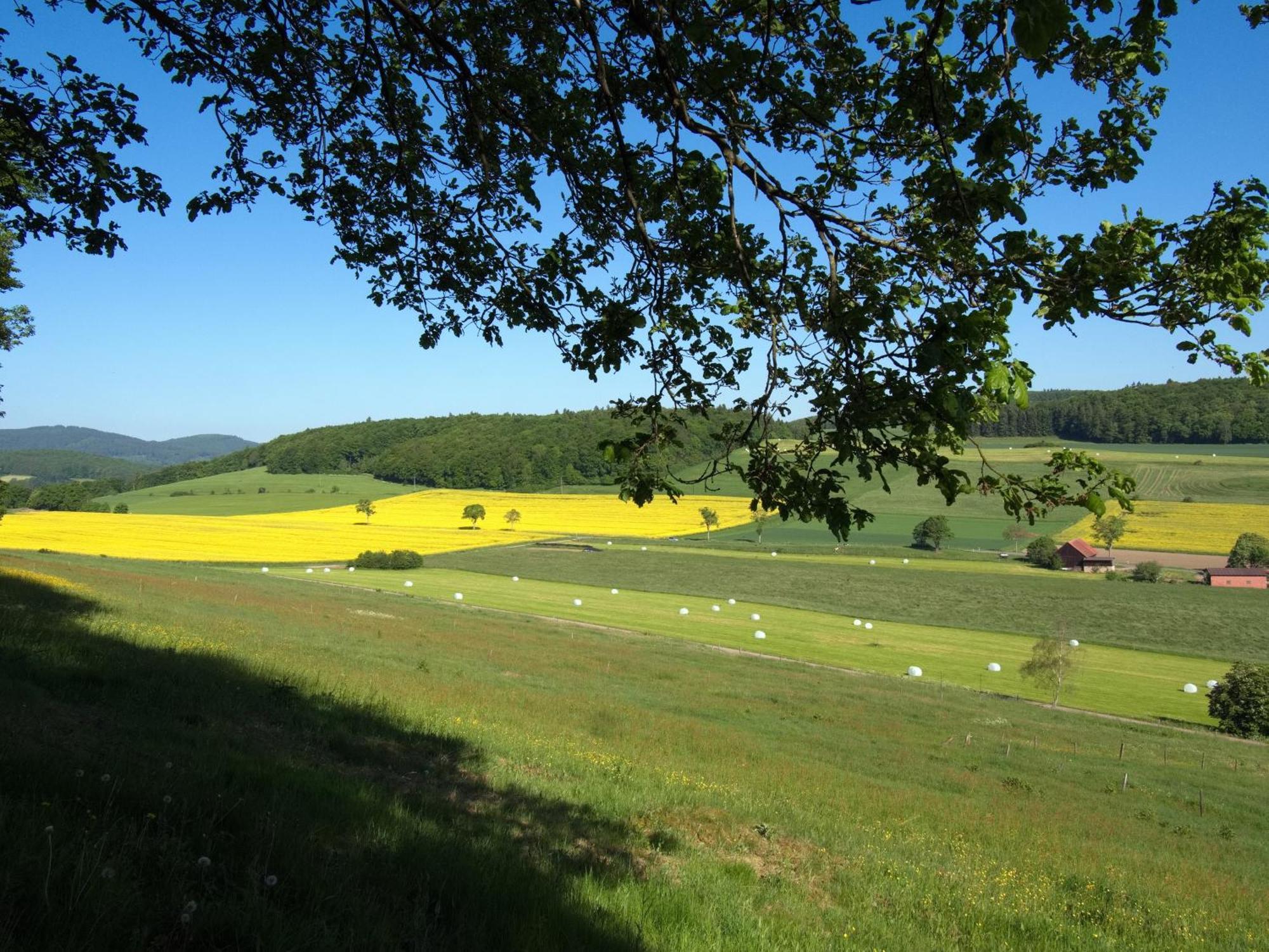 Diemelsee Sudeck - Ein Ferienhaeuschen Zum Wohlfuehlen Екстериор снимка